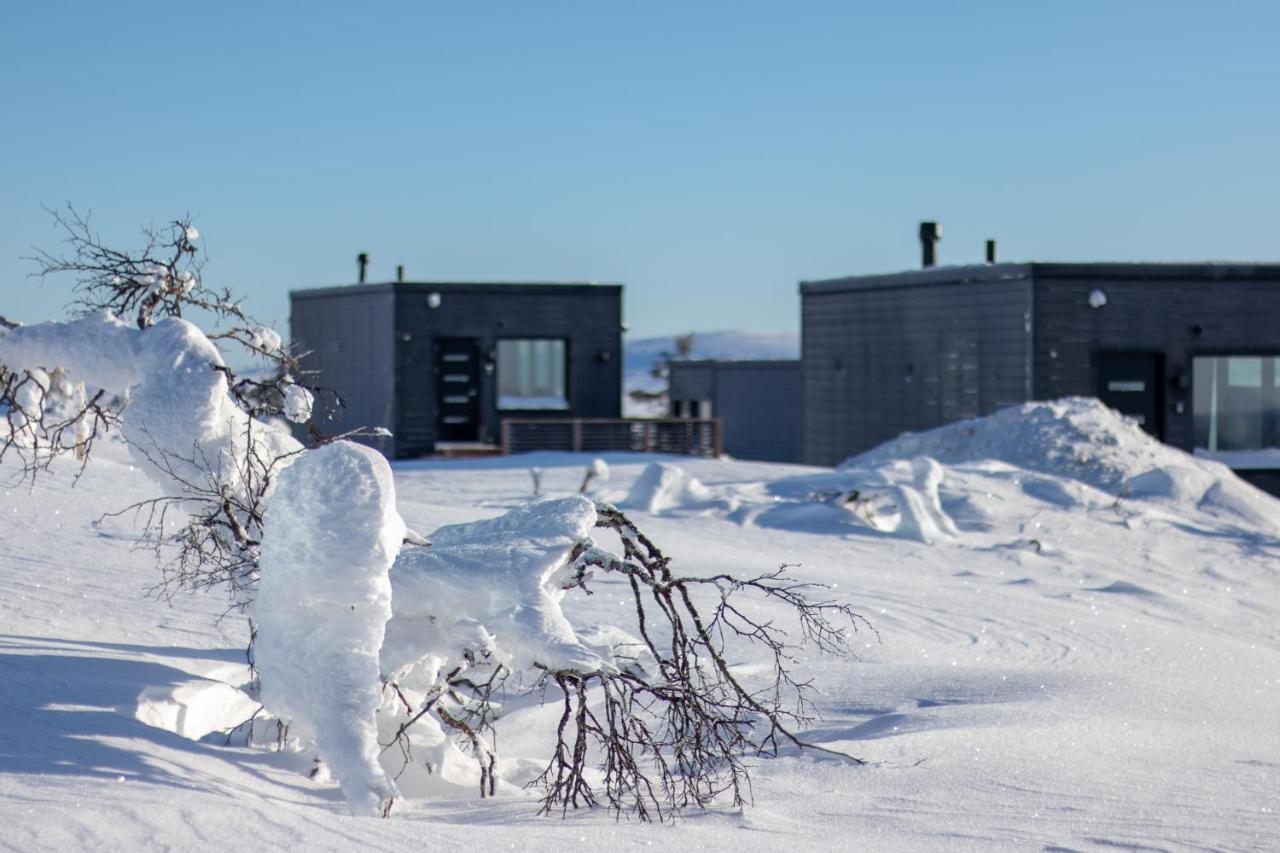 Top Star Saariselkae - Arctic Glass Cubes Exterior photo